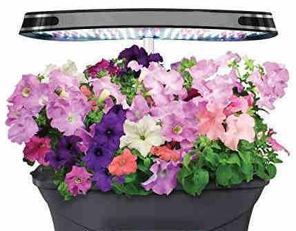 hidroponia | El Jardin en Casa